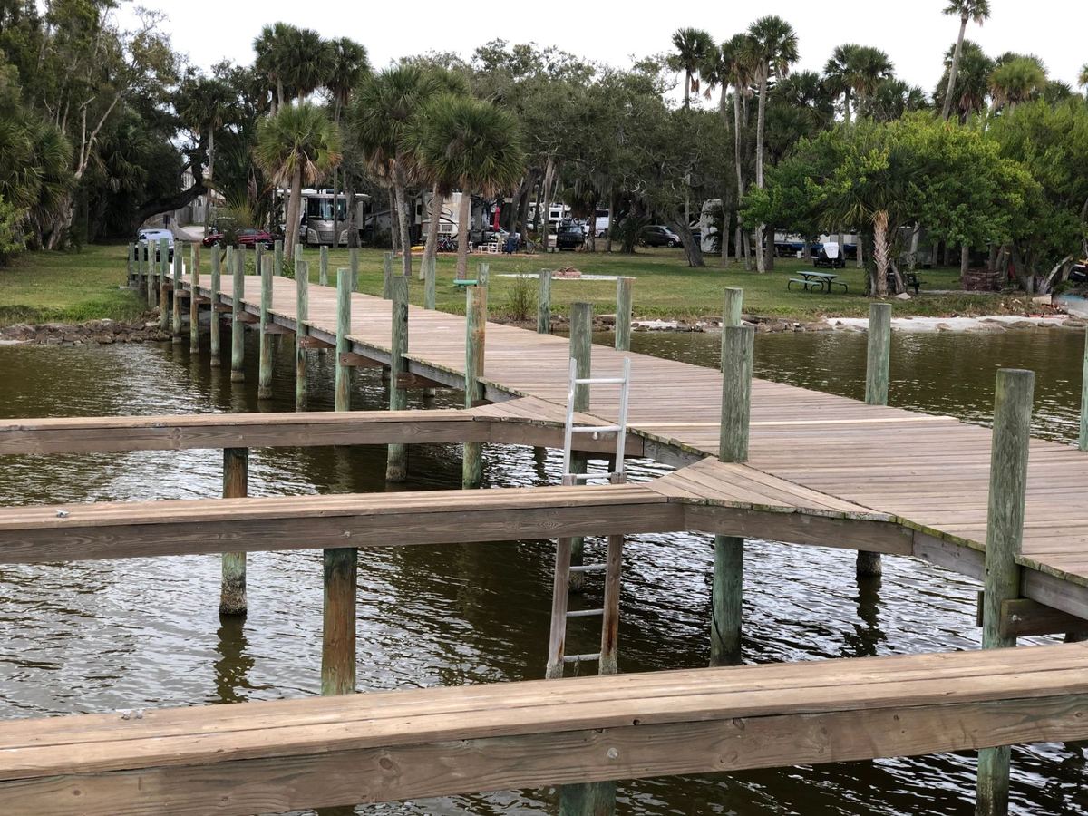 Palm trees along the riverfront at Carvers Cove