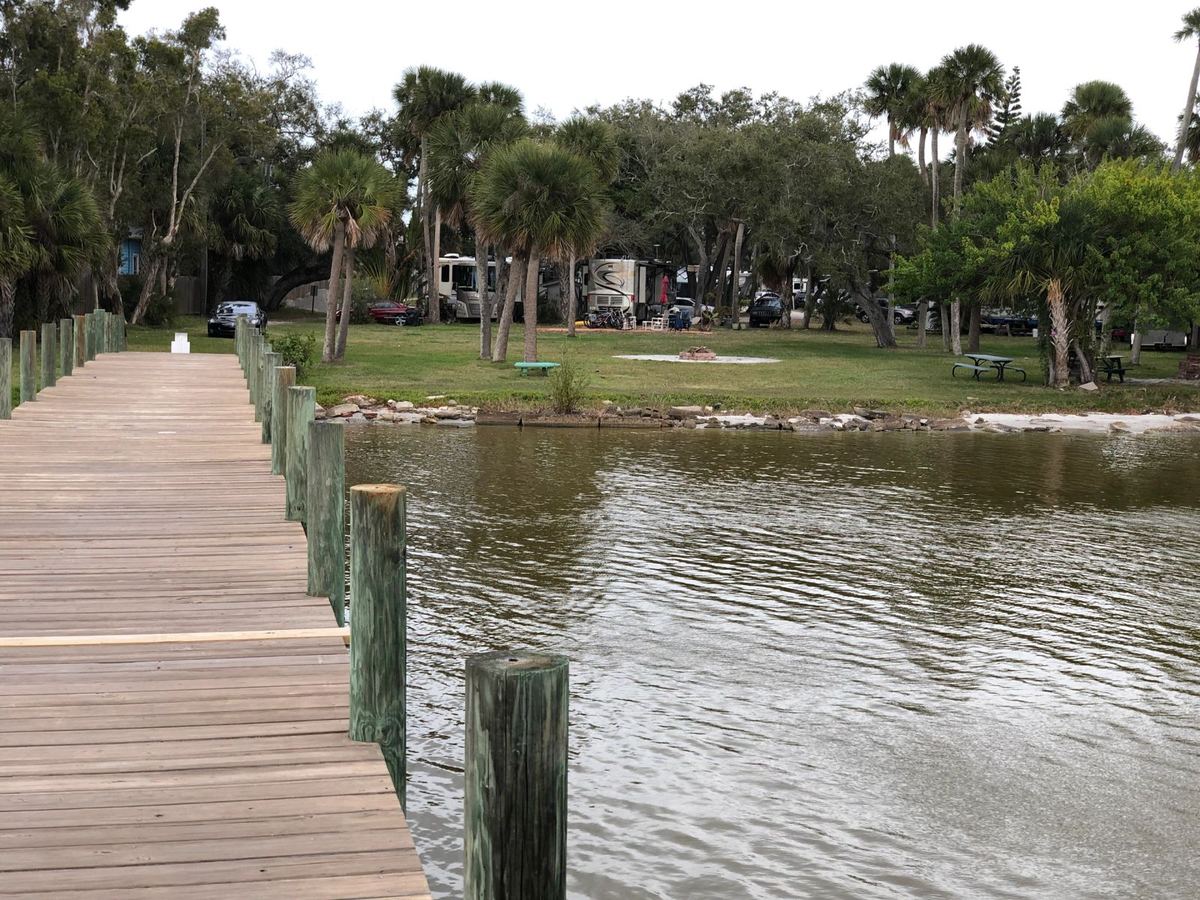 River view with palm trees at Carvers Cove RV Park
