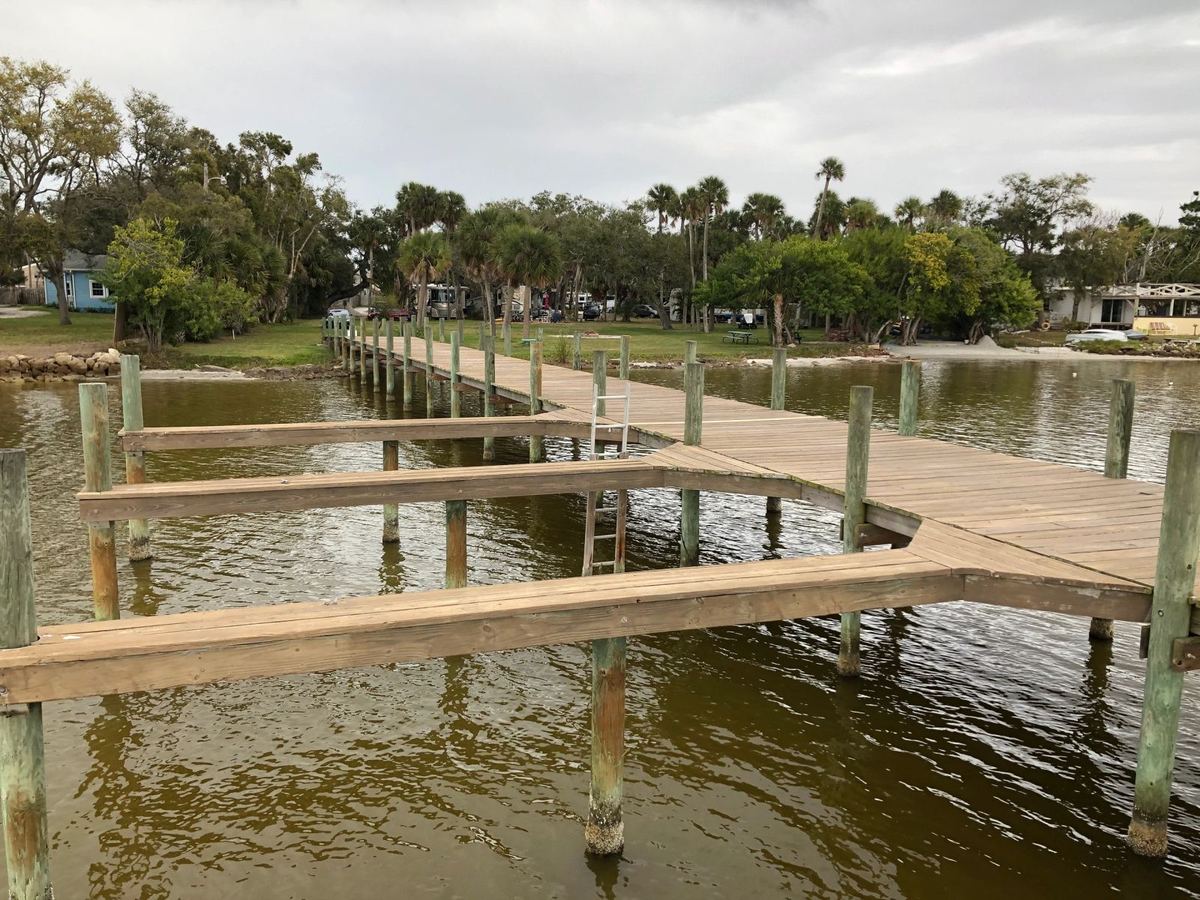 Green space and palms at Carvers Cove RV Park